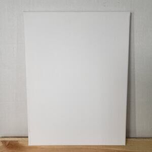 Unbranded Stretched Canvas 9in x 12in - NEW